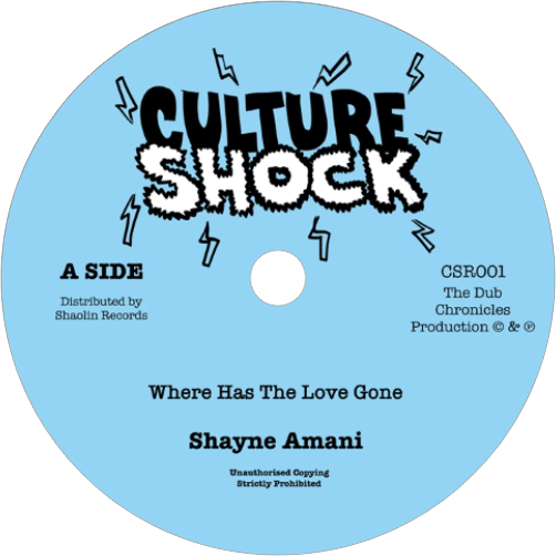 Shayne Amani / Where Has The Love Gone b/w Version