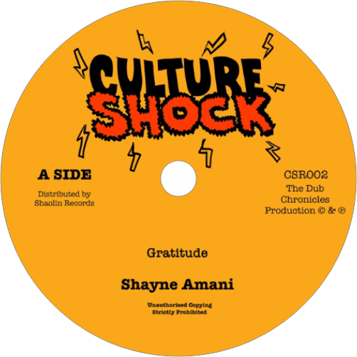Shayne Amani / Gratitude b/w Version