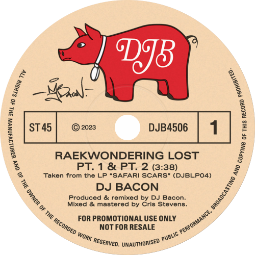 DJ Bacon / Raekwondering Lost PT 1 & PT 2