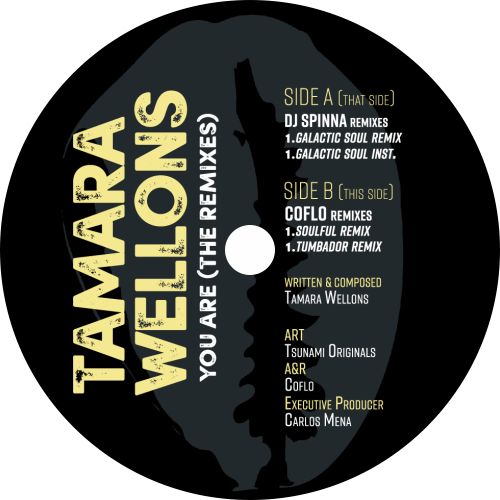 Tamara Wellons / You Are (The Remixes - DJ Spinna, Coflo)