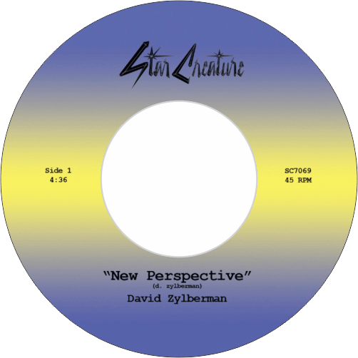 David Zylberman / New Perspective b/w Solstice