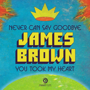 James Brown / Never Can Say Goodbye