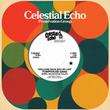 Pumphouse Gang / Welcome Back Into My Life (w/Medlar Edit)