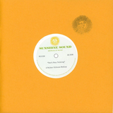 Walter Gibbons / Can't Stop Talking b/w Can't Stop Laughing