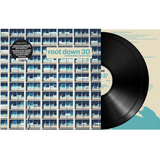 Rainer Trüby / Root Down 30 (Celebrating 30 Years Of Rainer Trüby's Legendary Root Down Party)