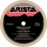 Alison Limerick / Where Love Lives (Frankie Knuckles, David Morales Remix)
