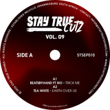Various Artists / Stay True Cutz Vol. 9