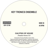 Soft House Company, Key Tronics Ensemble / What You Need, A Little Piano b/w Calypso Of House
