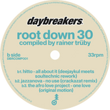 Rainer Trüby / Root Down 30 (Celebrating 30 Years Of Rainer Trüby's Legendary Root Down Party)