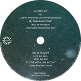 Deep Joy, Thrashing Doves, KC Flightt, The Metaluna Mutant / Paraiso (The True Spirit Of Ibiza) - Luv4Wax