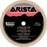 Alison Limerick / Where Love Lives (Frankie Knuckles, David Morales Remix)