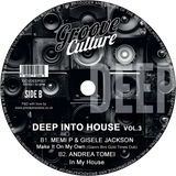 Ricky Montanari, Discoplex, Luca Olivotto, Gianni Bini / Deep Into House Vol. 3 - Luv4Wax