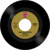 Dexter Wansel, Terri Wells / The Sweetest Pain b/w Theme From The Planets
