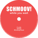 Schmoov! / While You Wait (25th Anniversary Edition) (RSD2026)