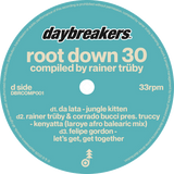 Rainer Trüby / Root Down 30 (Celebrating 30 Years Of Rainer Trüby's Legendary Root Down Party)