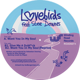 Lovebirds, Stee Downes ‎/ Want You In My Soul (Limited 12" Picture Disc)