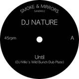 DJ Nature ‎/ Until b/w Crockett's Theme