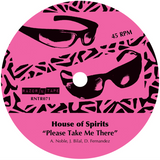 Tom Noble Presents: House of Spirits / Please Take Me There