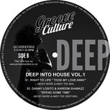 Various ‎Artists / Deep Into House Vol. 1