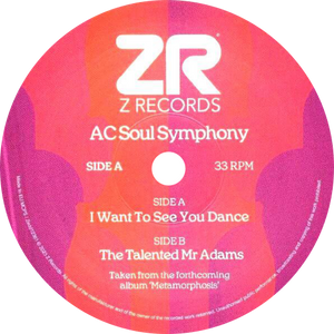 Dave Lee aka AC Soul Symphony / I Want To See You Dance