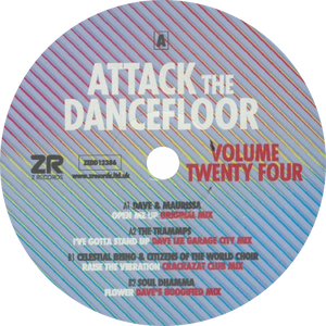 Dave Lee, Maurissa Rose, The Trammps, Celestial Being, Citizens Of The World Choir, Soul Dhamma / Attack The Dancefloor Volume 24