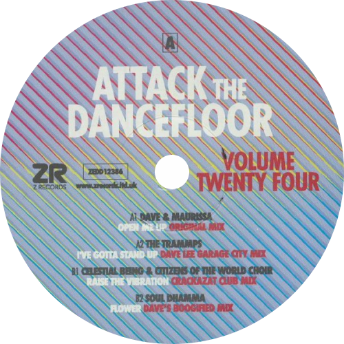 Dave Lee, Maurissa Rose, The Trammps, Celestial Being, Citizens Of The World Choir, Soul Dhamma / Attack The Dancefloor Volume 24