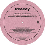 Peacey / Culture Bandit Featuring Vanessa Hidary