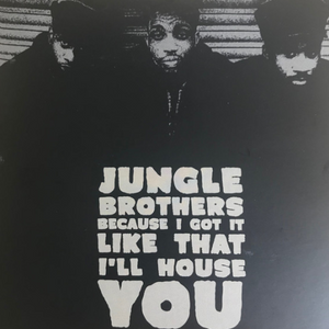 Jungle Brothers ‎/ Because I Got It Like That / I'll House You