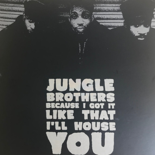 Jungle Brothers ‎/ Because I Got It Like That / I'll House You