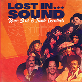 Various Artists/  Lost In Sound / Rare Soul & Funk Essentials