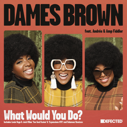 Dames Brown Feat. Andrés & Amp Fiddler / What Would You Do?