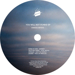 Various / You Will Not Forbid EP
