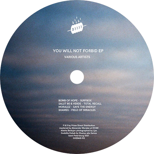Various / You Will Not Forbid EP