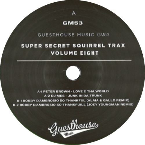 Various / Super Secret Squirrel Trax Vol 8