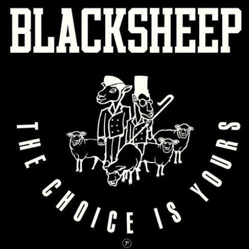 Black Sheep ‎/ The Choice Is Yours