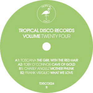 Various / Tropical Disco Volume 24