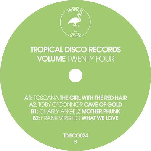 Various / Tropical Disco Volume 24