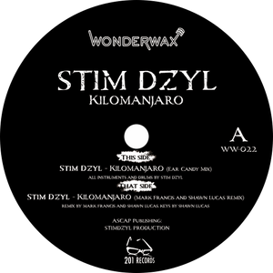 Stim Dzyl / Kilomanjaro (DJ Spinna & Mark Francis)