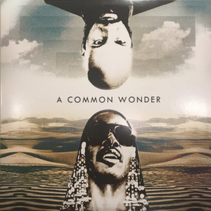 Amerigo Gazaway / A  Common Wonder (Common, Stevie Wonder)